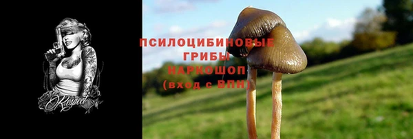 стаф Козельск
