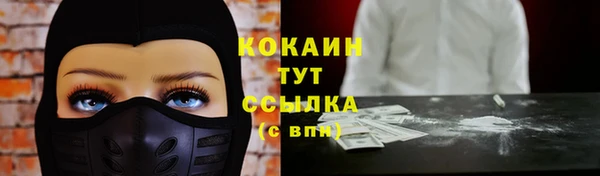 стаф Козельск