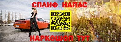 шишки Кингисепп