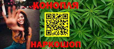 шишки Кингисепп