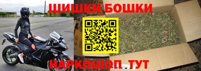 шишки Кингисепп